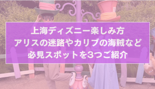 上海ディズニー楽しみ方｜アリスの迷路やカリブの海賊など必見スポットを3つご紹介